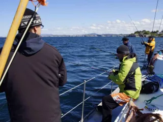 Sails on Norwegian fjords 2012 / fot. załoga